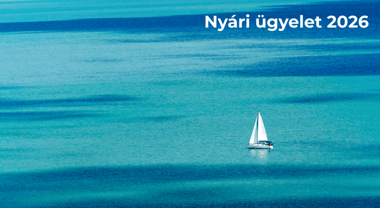 Nyári ügyelet (2026)